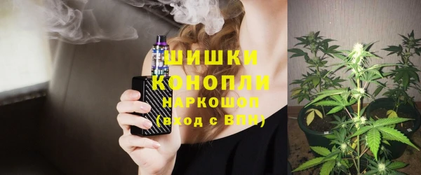 стаф Богородицк