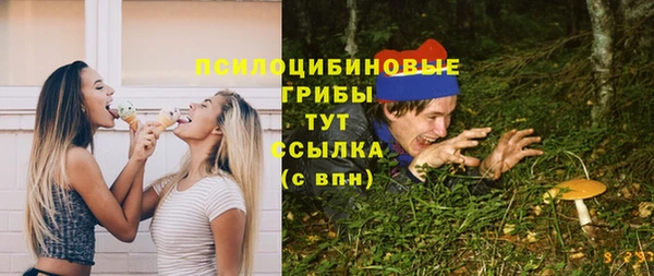 стаф Богородицк